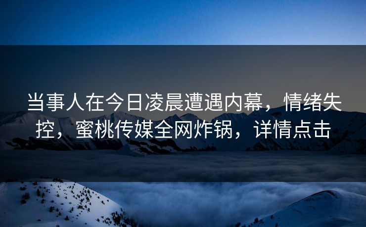 当事人在今日凌晨遭遇内幕，情绪失控，蜜桃传媒全网炸锅，详情点击