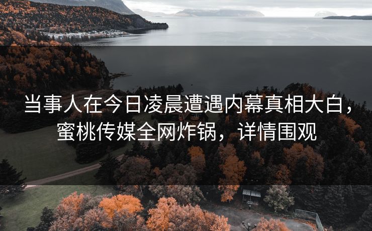 当事人在今日凌晨遭遇内幕真相大白,蜜桃传媒全网炸锅,详情围观 当事人在今日凌晨遭遇内幕真相大白,蜜桃传媒全网炸锅,详情围观