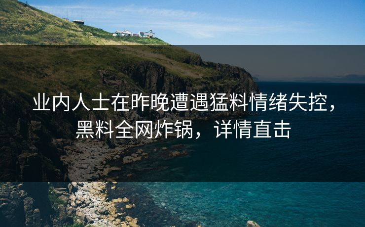 业内人士在昨晚遭遇猛料情绪失控,黑料全网炸锅,详情直击 业内人士在昨晚遭遇猛料情绪失控,黑料全网炸锅,详情直击